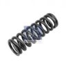 VOLVO 3183211 Valve Spring